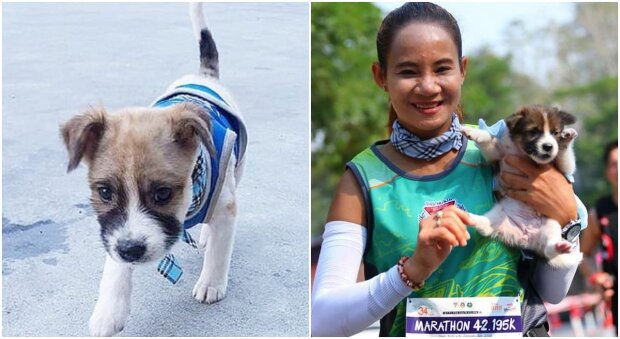 Aby uratować szczeniaka, biegła z nim w ramionach 30 kilometrów maratonu