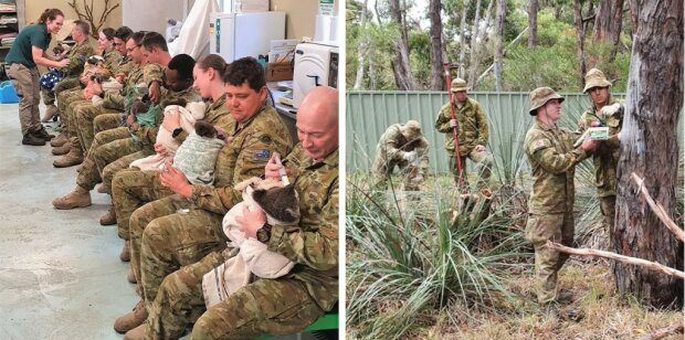 Żołnierze armii australijskiej spędzają urlop opiekując się misiami koala