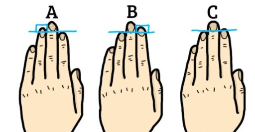 Co mówi o nas długość palców?
