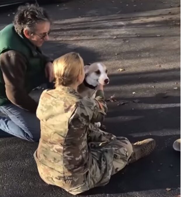 Dziewczyna poznała swojego psa po dwóch latach rozłąki. Wzruszające wideo