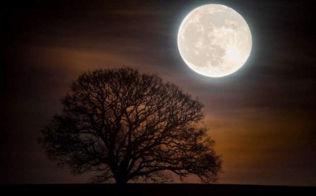 Jaki wpływ ma światło księżyca na śpiącą osobę