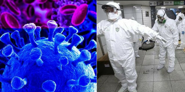 Przełom w sprawie koronowirusa. Amerykańscy naukowcy deklarują, że są w stanie uratować świat przed pandemią
