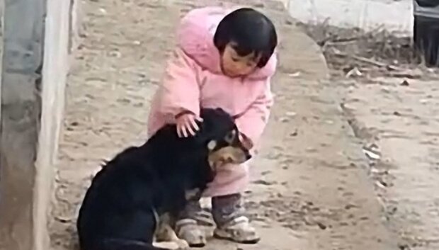 Najsłodsze wideo. Mała dziewczynka zakrywa uszy psa, który boi się fajerwerków