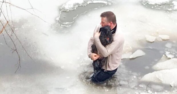 Niesamowity ratunek dla psa przed zamarzającą wodą