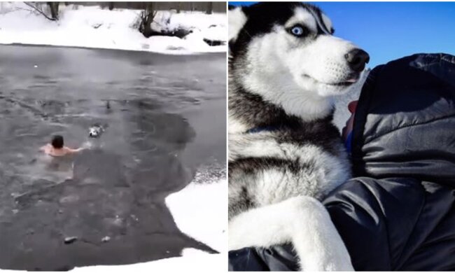 Stara kobieta wskoczyła do lodowatej wody, by uratować psa