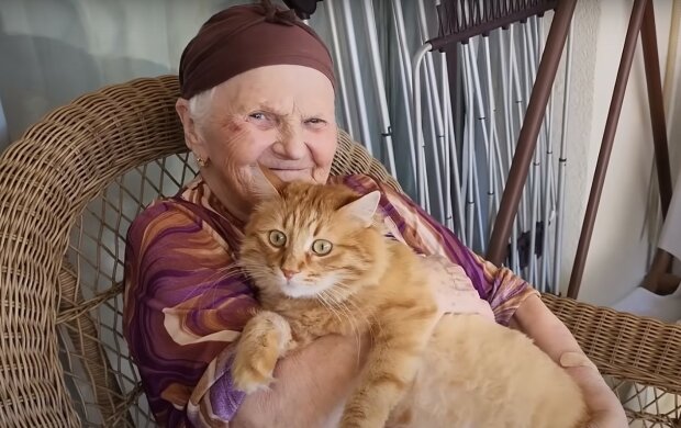 Babcia i jej kot, źródło: YouTube/Adorable Paws