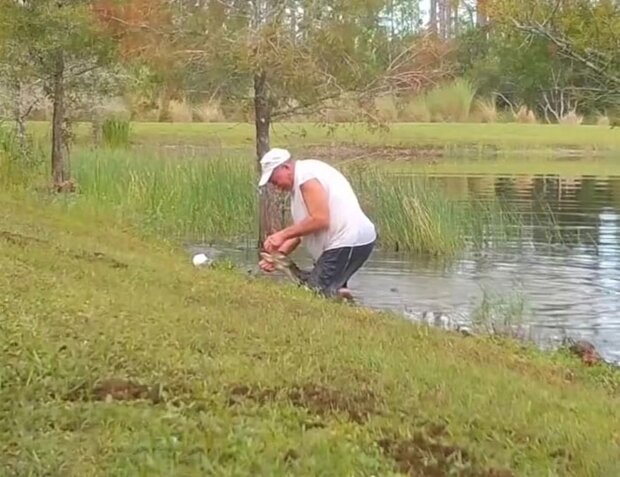 Aby uratować szczeniaka, 74-letni mężczyzna z Florydy walczył z aligatorem