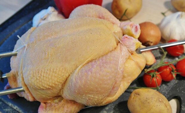 Specjaliści przekonują: uważajmy przy przygotowywaniu mięsa kurczaka. Czai się w nim niekorzystna bakteria