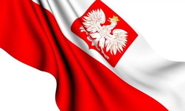 Nowa flaga i herb Polski? Projekt nowych symboli narodowych może spotkać się z mieszanymi opiniami