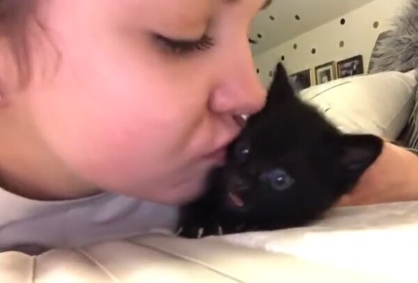 W koszyku kotka oddanego do adopcji znaleziono wspaniałą niespodziankę