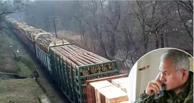 Rosja już zdecydowała się wyciąć ukraińskie lasy, dokument jest gotowy