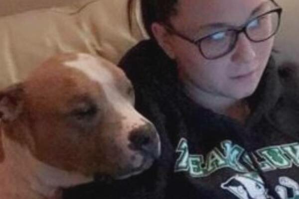 Ta dziewczyna adoptowała pitbulla ze schroniska. Zaskakujące, jak zachowywał się już po kilkunastu dniach