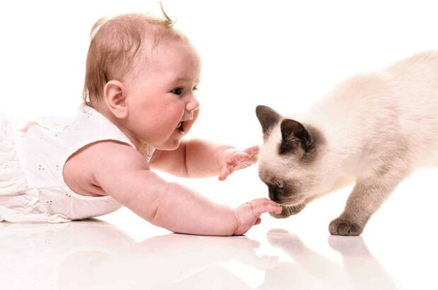 Niezwykła relacja chłopczyka z kotem. Gdy matka zobaczyła co robią, nie mogła wytrzymać ze śmiechu (VIDEO)