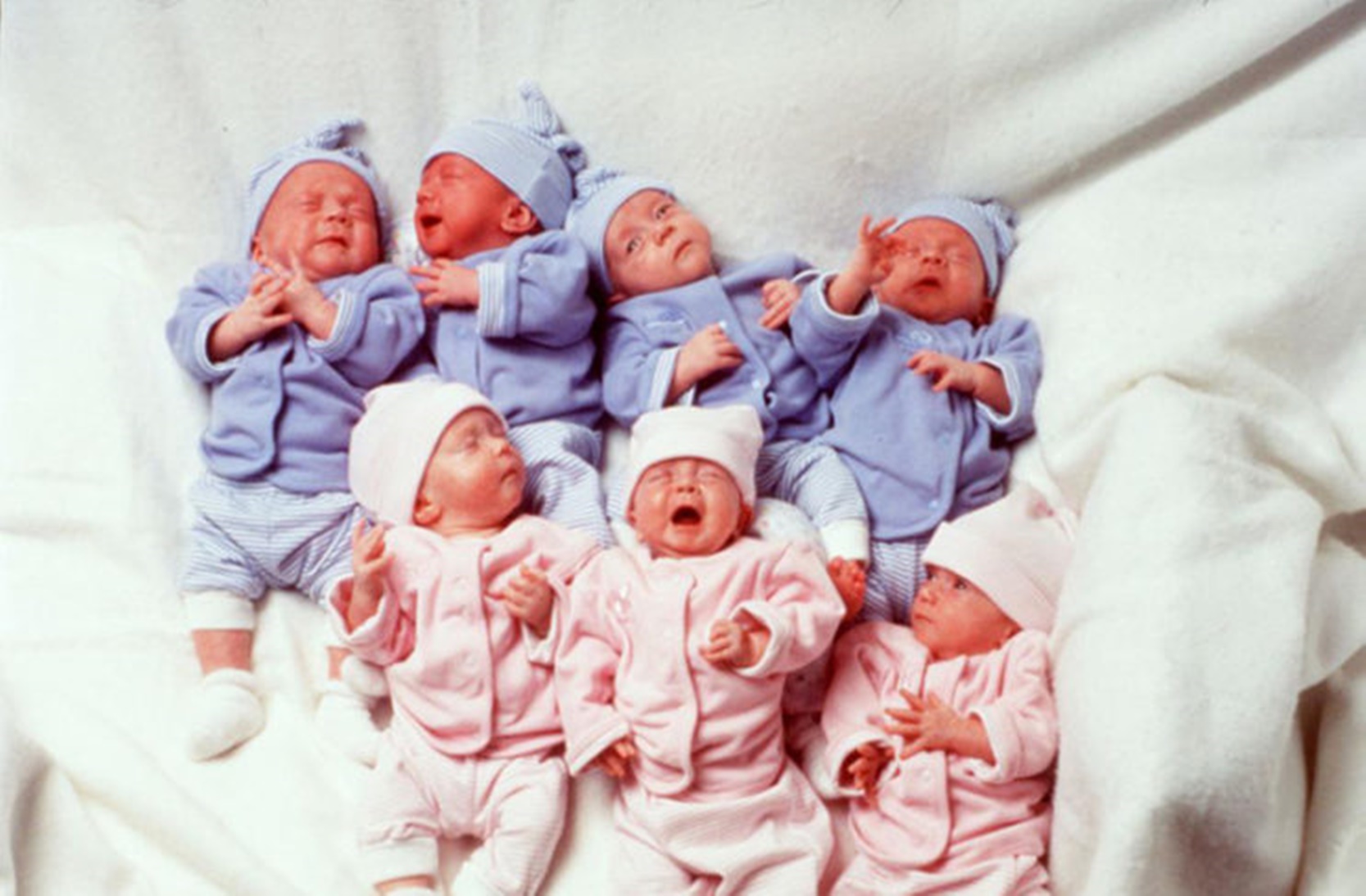 Четверо близнецов. Семерняшки Маккой. Семь младенцев. Первые в мире семерняшки. Мать семерняшек в Украине.